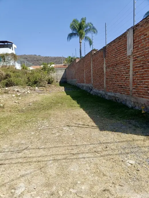 Lote Amelia