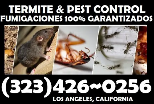 FUMIGACIONES CERCA DE TI.- 24/7.-