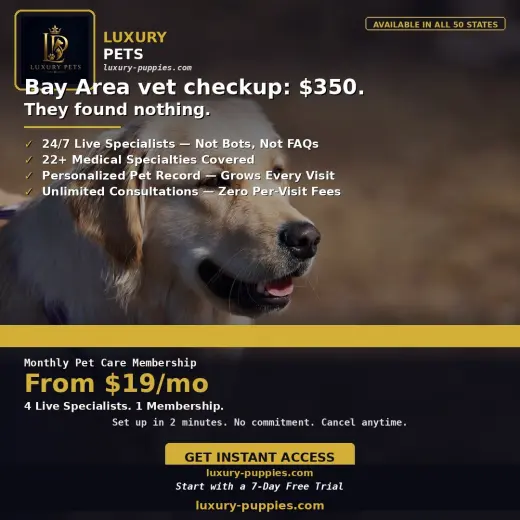 Cuidado y Bienestar de Mascotas 24/7 — Luxury Pets Global