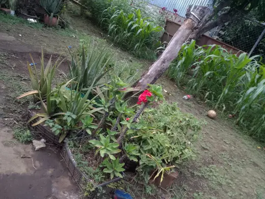 Lote Terreno en venta en El Salvador en Area Turistica