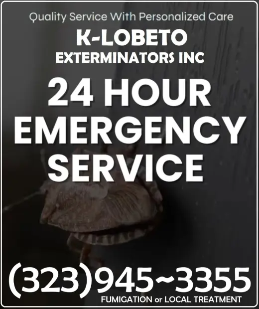 FUMIGACIONES 🎃 🦇 HALLOWEEN 🦇 🎃 24/7.~ LOS ANGELES.~