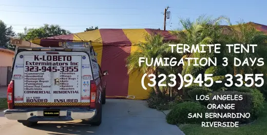 TERMITE TENT FUMIGATION OR LOCAL TREATMENT LOS ANGELES