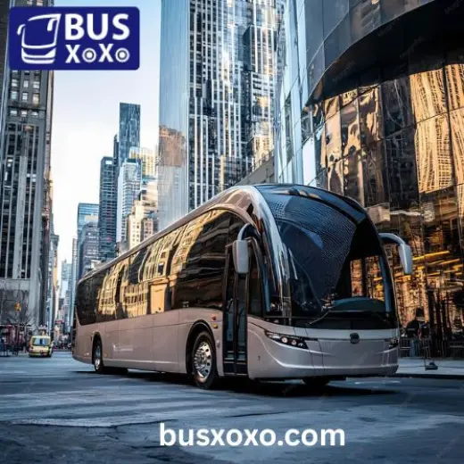 Miami, FL Charter Bus Rental for Safe & Comfortable Group Travel