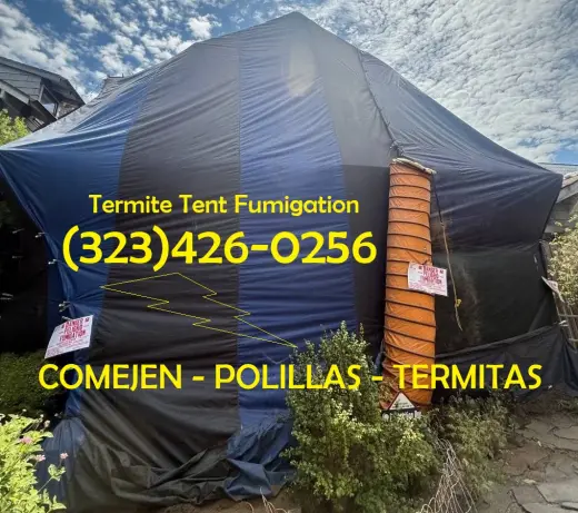 FUMIGACIONES - CARPA PARA TERMITAS