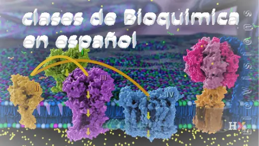 Clases de Química y Bioquímica