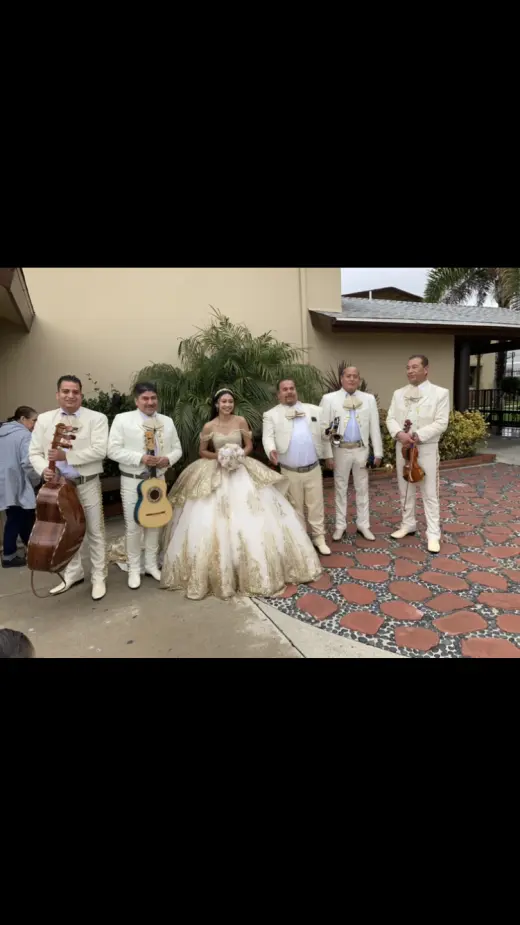 🎺🎺MARIACHI LOS POTRILLOS 🎻