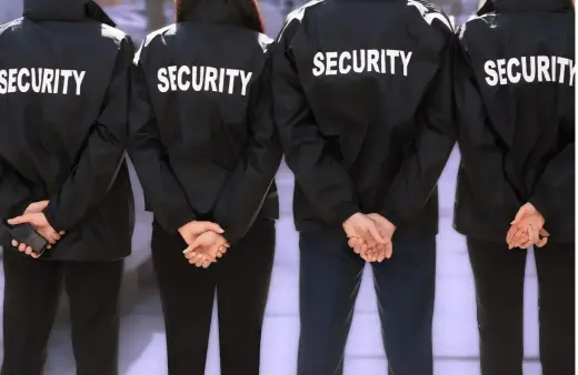 Servicios de Seguridad Profesional Disponibles