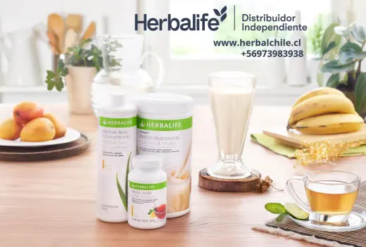 Herbalife en Chile Distribuidores Independientes  Haz Click Aquí