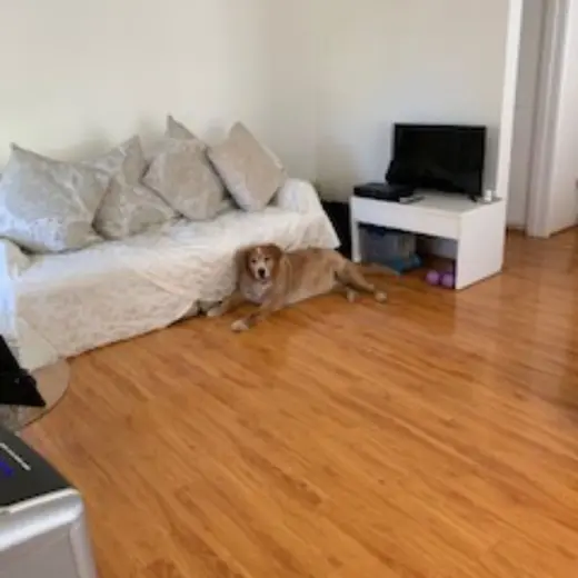 room For Rent In Glendale California