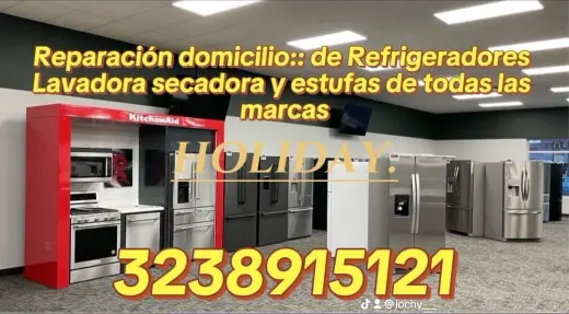 Servicios de Reparación de Electrodomésticos