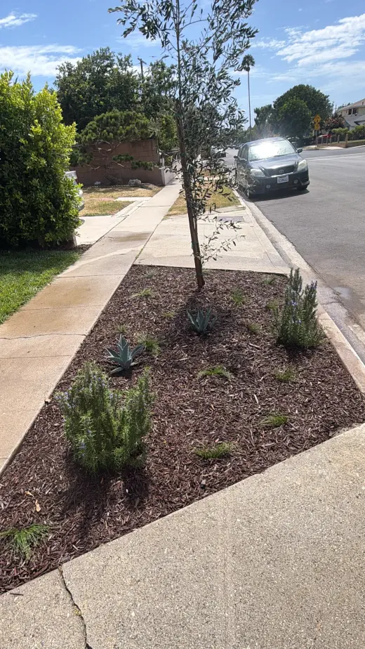 Coronalandscaping