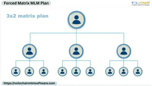 Boost Your Growth with Forced Matrix MLM Plan Software Services