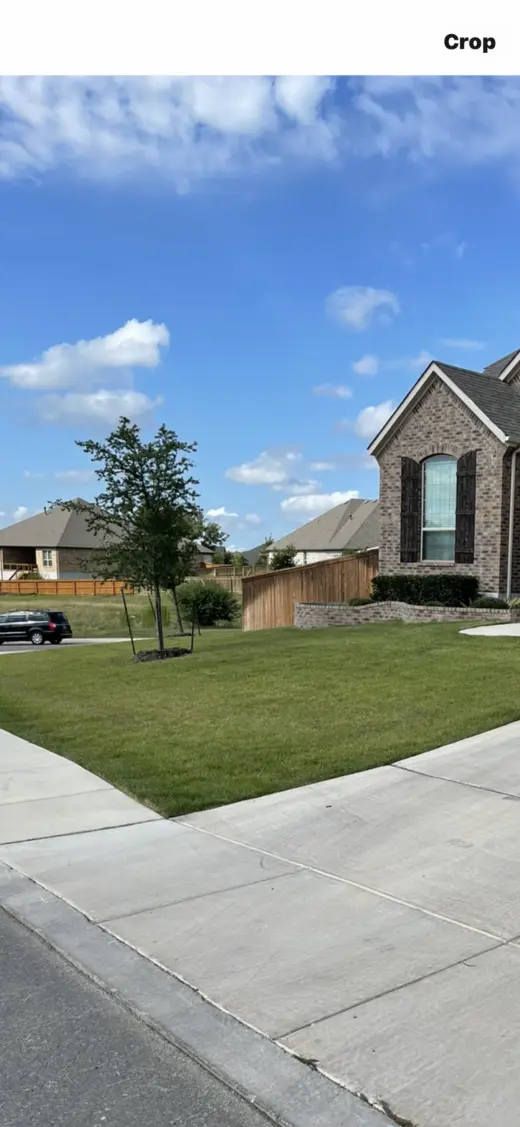 Lawn care services