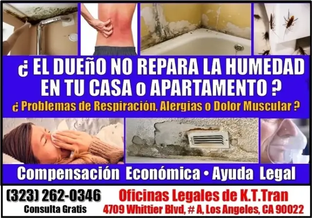 🔥DUEÑO NO HACE REPARACIONES ?
