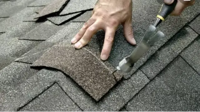 Roof