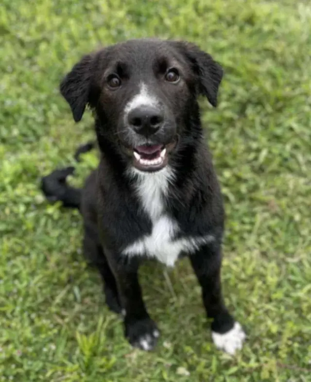Maggie