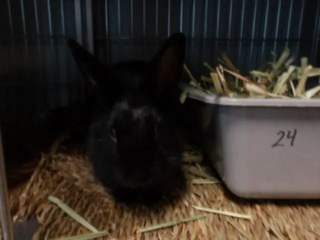 BARRY
