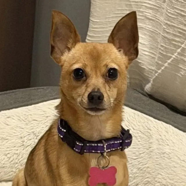 Winnie