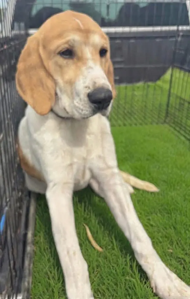 Charlotte: Not at shelter (Kathy D)