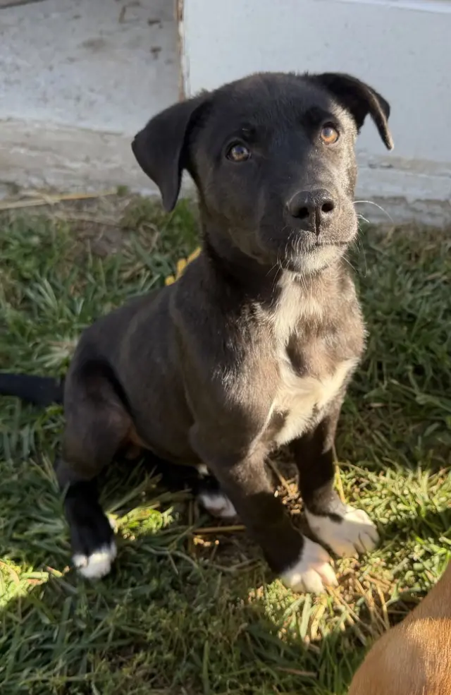 Georgia : Tucker