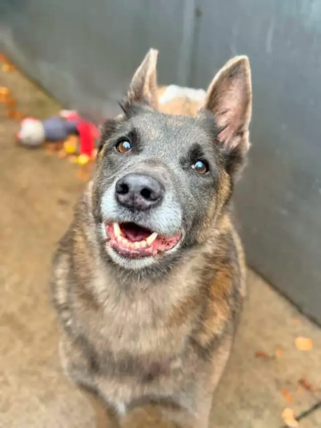 Mabel located in NC