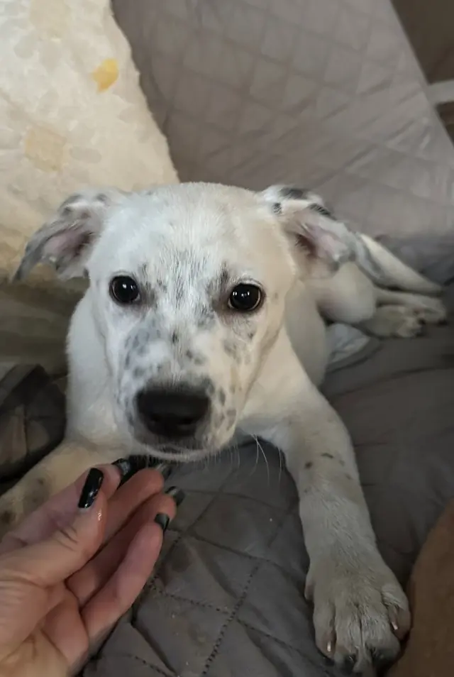 Fiona