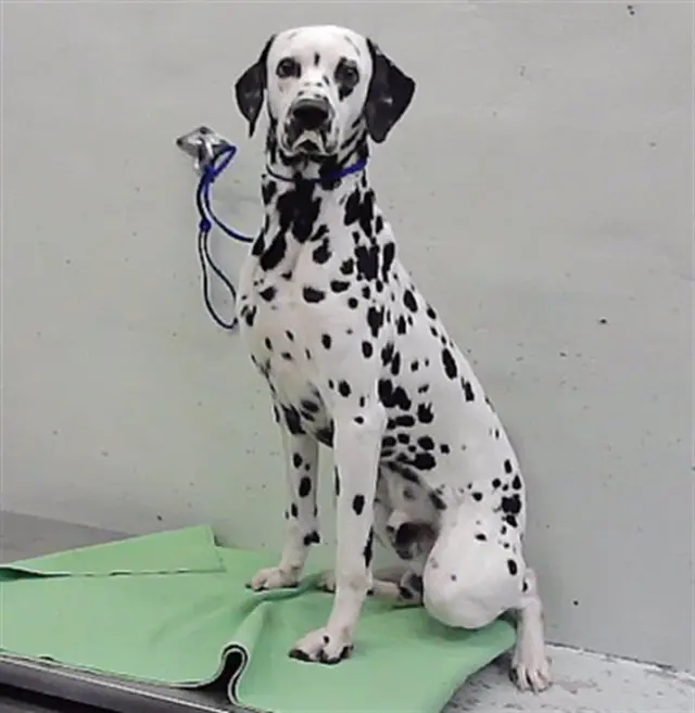 ASTRO