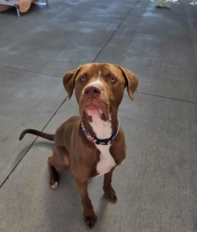 Titus