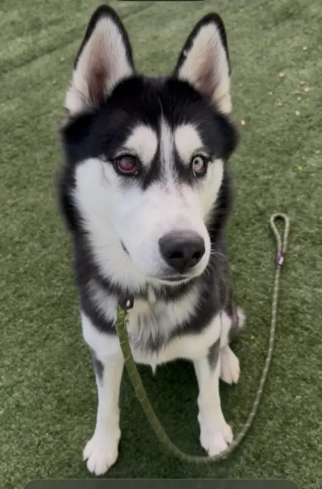 ASTRO