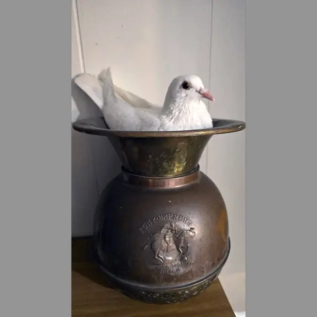 Spittoon