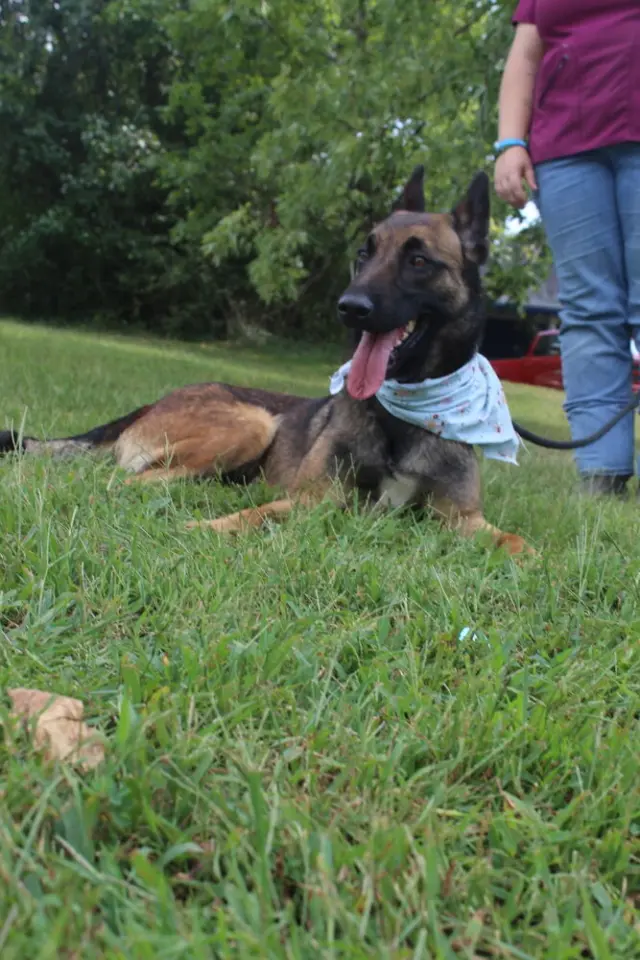 Lark - Located in VA