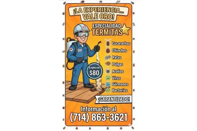 🚚Especial $80. Cucarachas 🪳