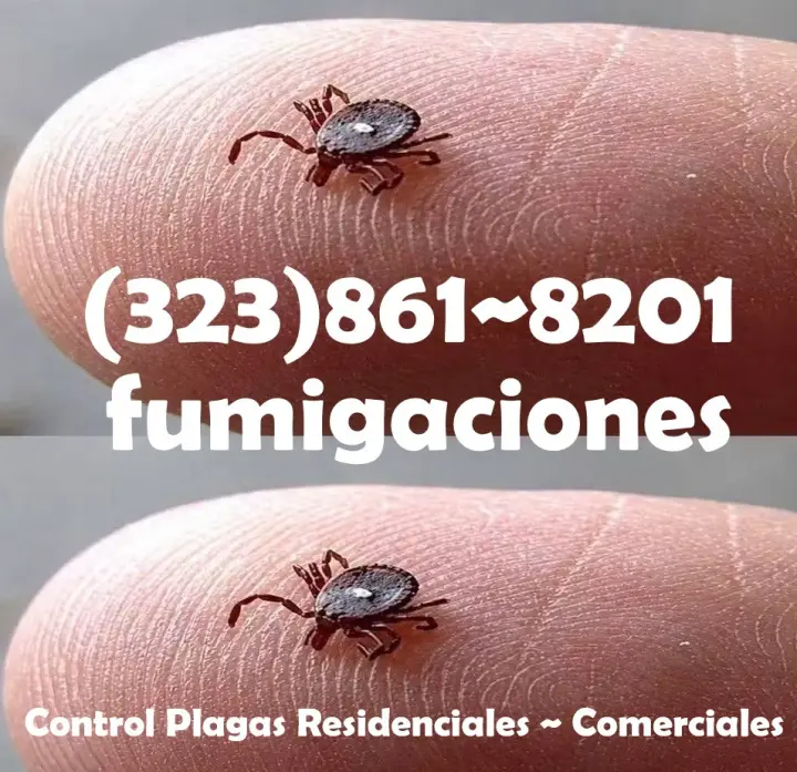 FUMIGACIONES TODO SUR DE CALIFORNIA.-