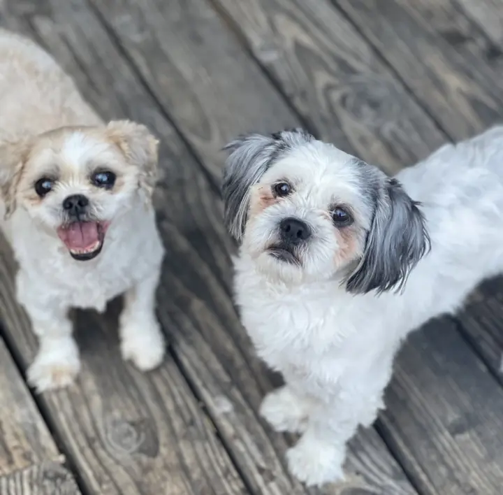 Benson and Bailey