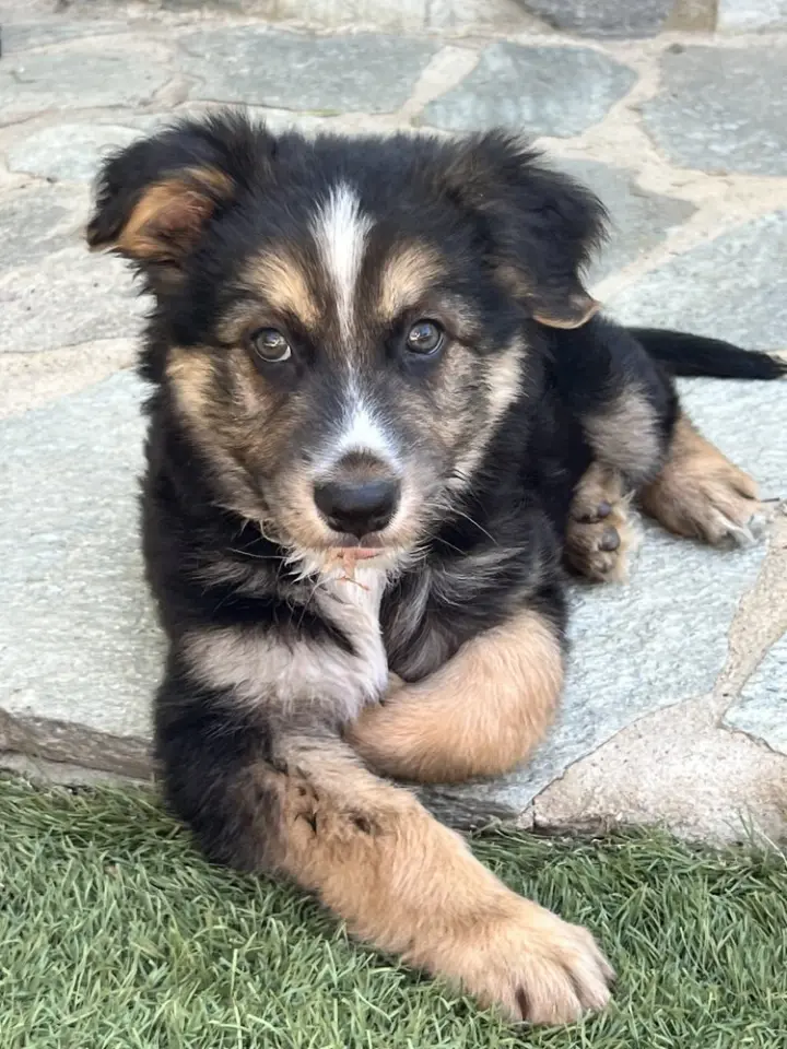 Murphy