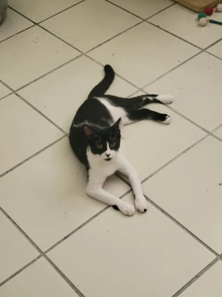 Chilindrina