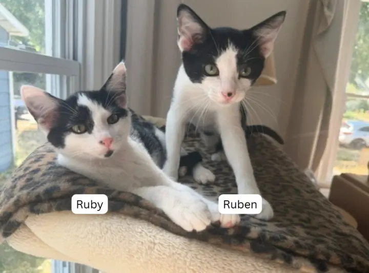 Ruben / Ruby