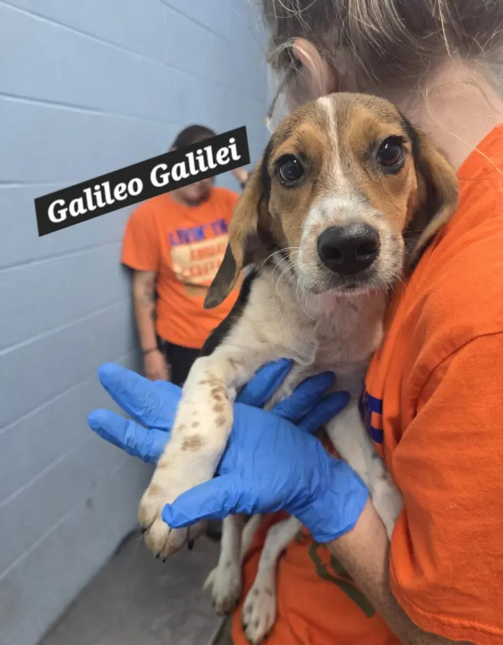 Galileo Galilei