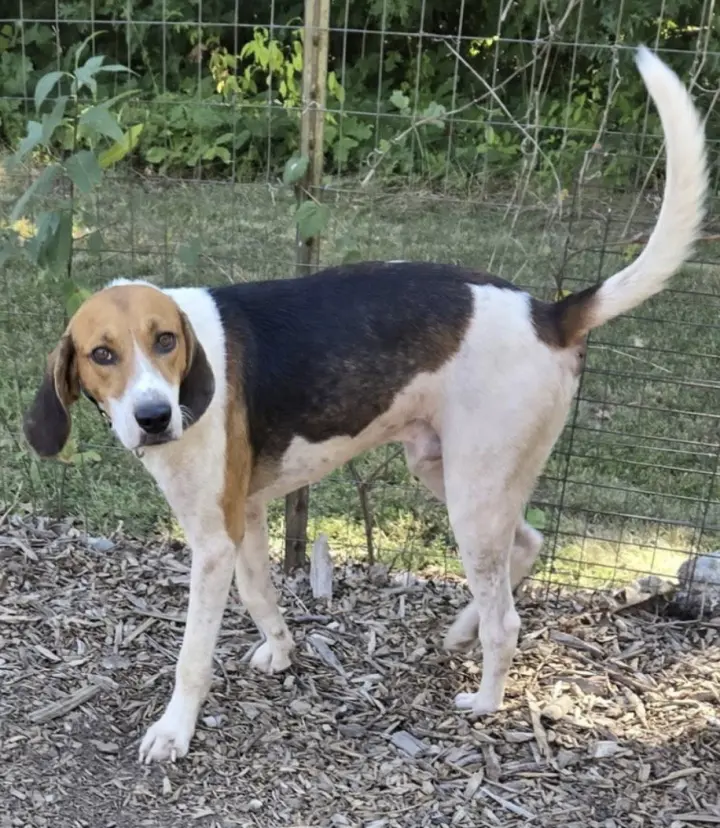 Mitchell: At shelter