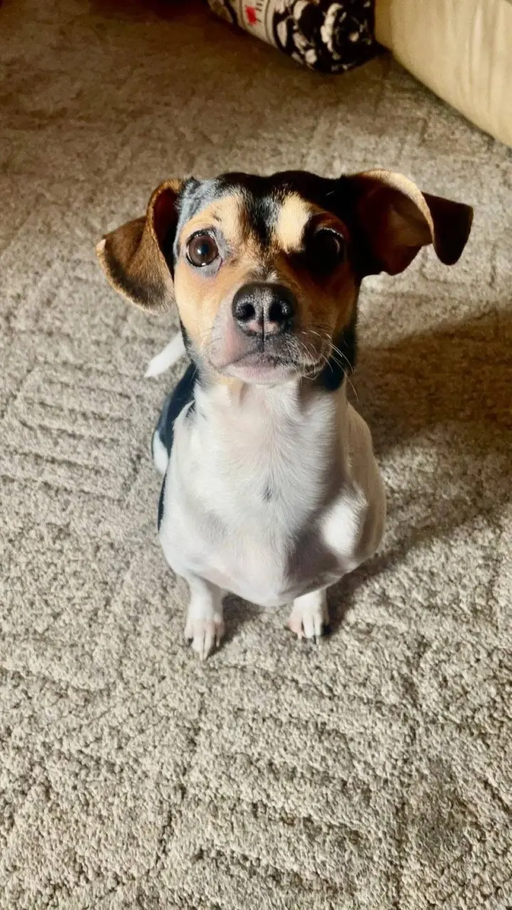 Bandit #2