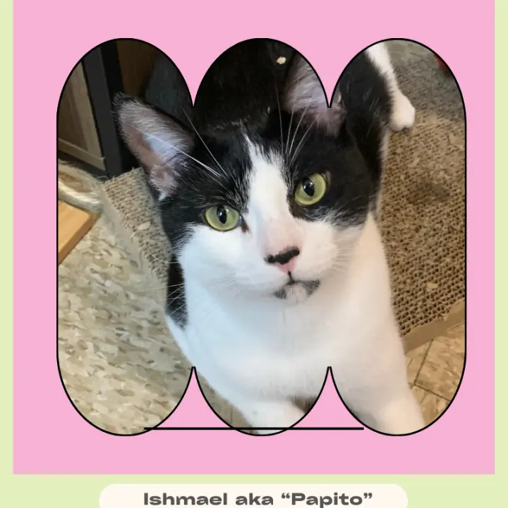 Ishmael aka Papito
