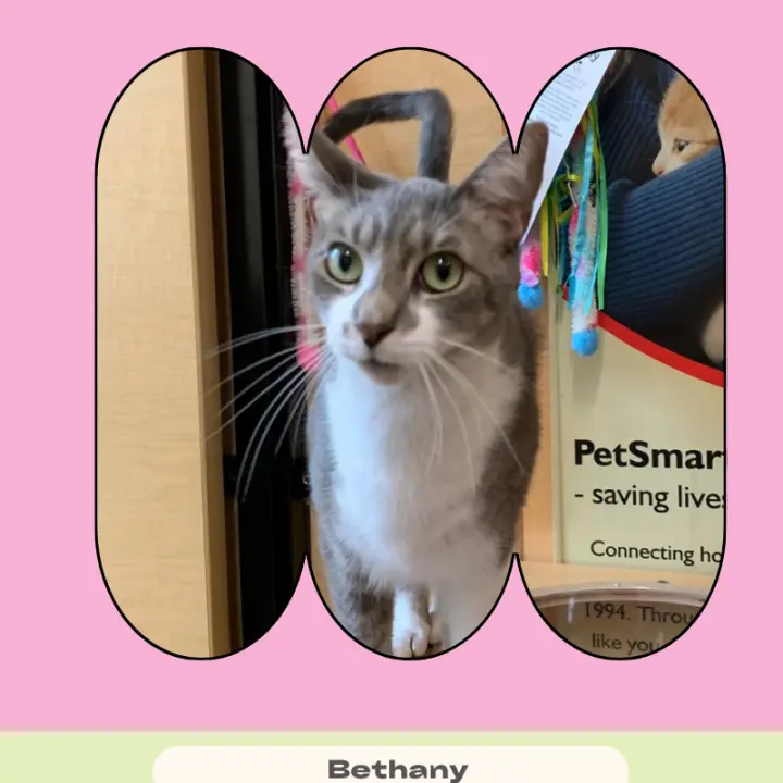 Bethany