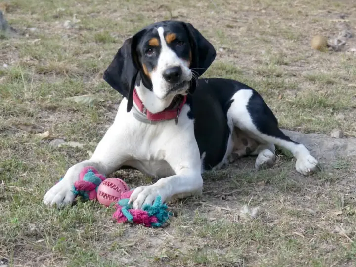 Daisy May - Sponsored!