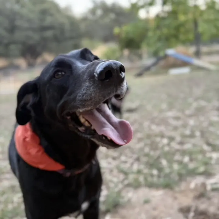 Jax