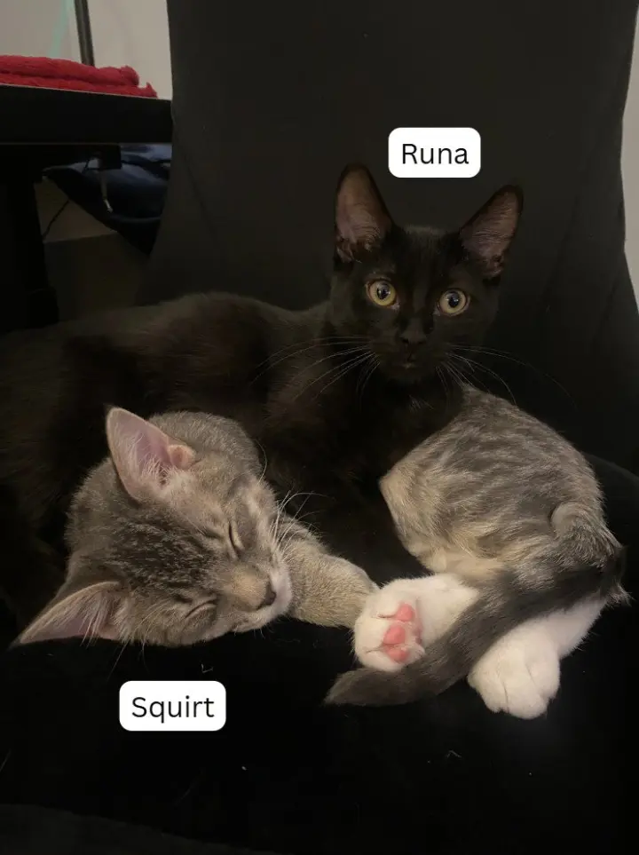Squirt / Runa
