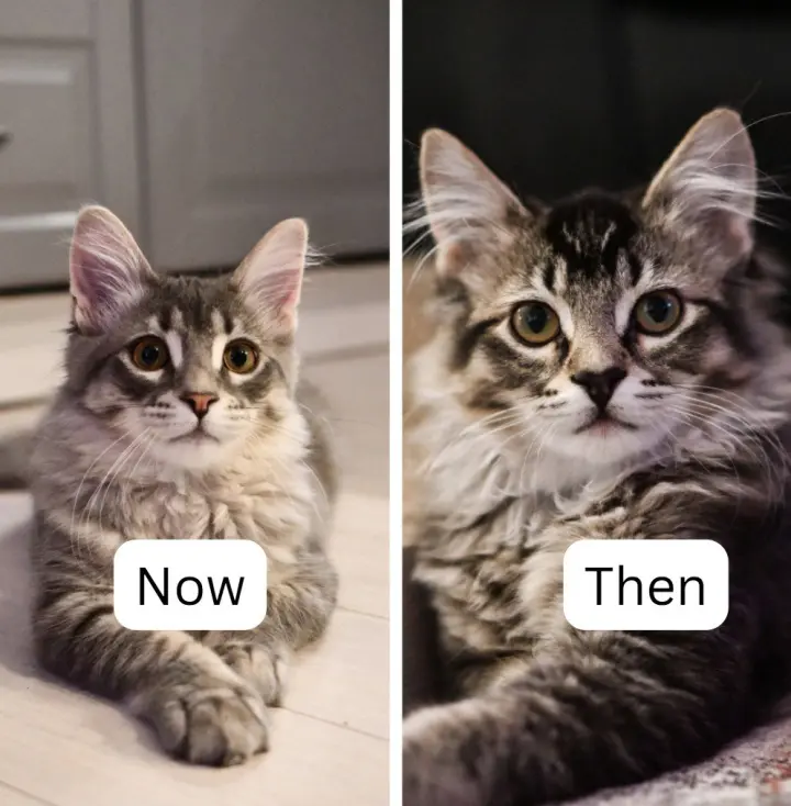 Now / Then