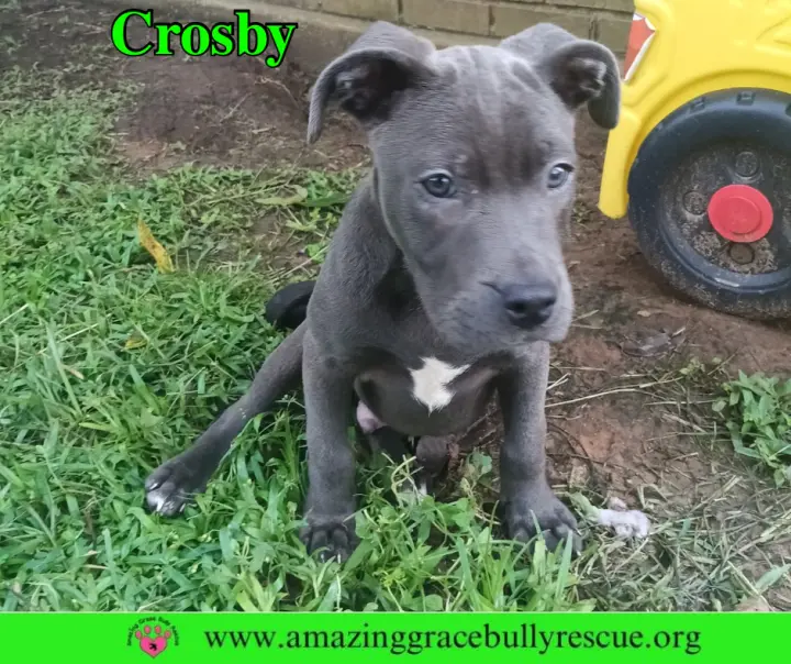 Crosby