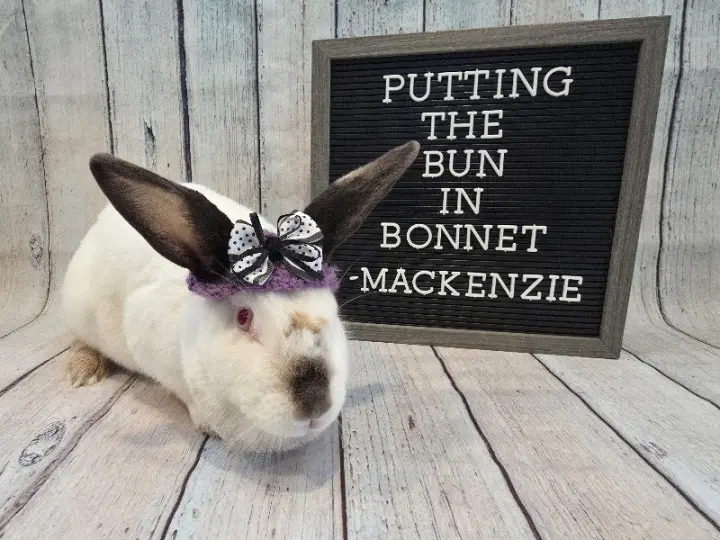 Mackenzie