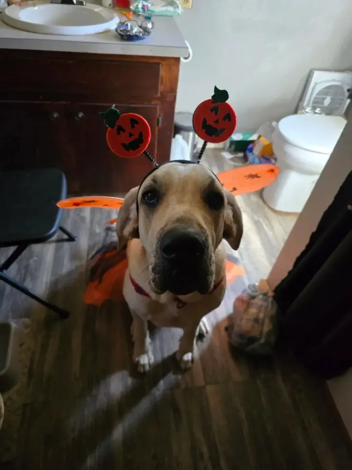 Luna Mae