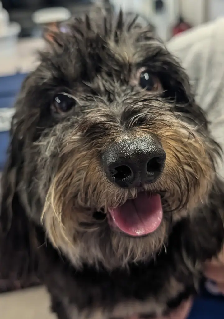 Otto in TN